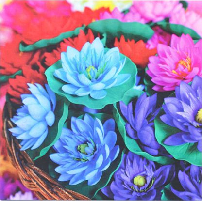 Lotusblommor