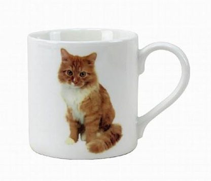 Mugg Katten Ginger