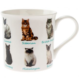 Mugg Katter